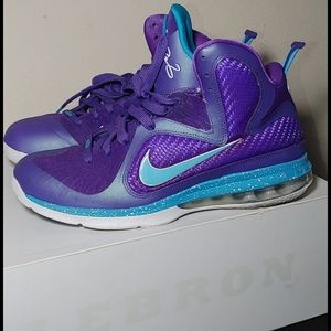 NIKE LEBRON 9 " SUMMIT LAKE HORNETS"